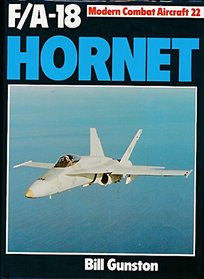 F/A-18 Hornet (Modern combat aircraft)
