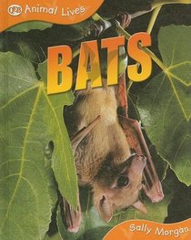 Bats (Animal Lives)