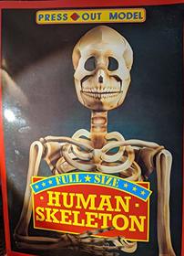 Human Skeleton (Press Out Model)