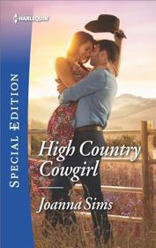 High Country Cowgirl (Brands of Montana, Bk 11) (Harlequin Special Edition, No 2640)