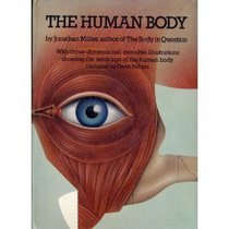 The Human Body