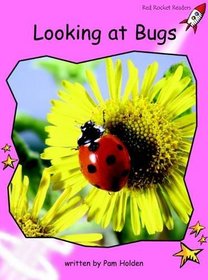 Looking at Bugs: Pre-reading (Red Rocket Readers: Non-fiction Set B)