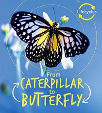 From Caterpillar to Butterfly (Life Cycles)