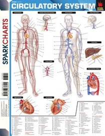 Circulatory System (SparkCharts) (SparkCharts)