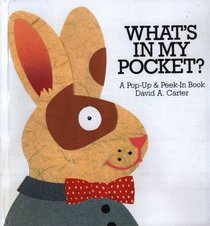 What's in My Pocket?/a Pop-Up  Peek-In Book: A Pop Up  Peek in Book