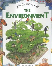 The Environment (An Inside Look)
