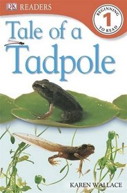 Tale of a Tadpole (DK Readers Level 1)