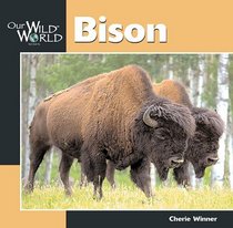 Bison (Our Wild World)