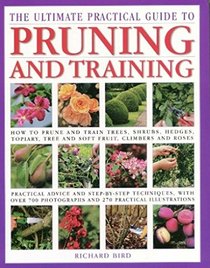 Ultimate Practical Guide to Pruning/Trai