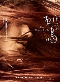The Thorn Birds (Chinese Edition)