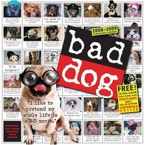 Bad Dog Wall Calendar 2009 (Wall Calendars)
