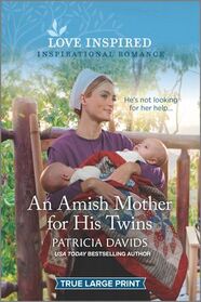 An Amish Mother for His Twins (North Country Amish, Bk 5) (Love Inspired, No 1363) (True Large Print)