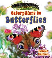 Caterpillars to Butterflies (It's Fun to Learn About Baby Animals)