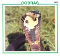 Cobras (Snake Discovery Library)