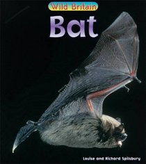 Wild Britain: Bat (Wild Britain): Bat (Wild Britain)