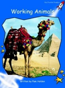 Working Animals: Level 3: Early (Red Rocket Readers: Non-fiction Set B)