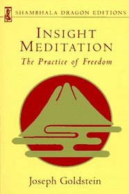 Insight Meditation (Shambhala Dragon Editions)