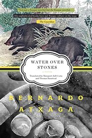 Water over Stones: A Novel