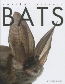 Bats (Amazing Animals)