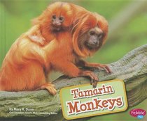 Tamarin Monkeys (Pebble Plus)