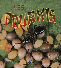 Les Fourmis / the Life Cycle of an Ant (Le Petit Monde Vivant / Small Living World) (French Edition)