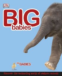 Big Babies, Little Babies
