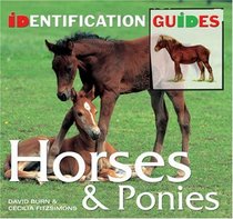 Horses (Identification Guides)
