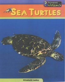 Sea Turtles (Sea Creatures)