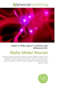 Alpha Motor Neuron: Neuromuscular junction, Motor neurone disease, Spinal cord, Skeletal muscle, Muscle contraction, Gamma motoneuron, Muscle spindle, ... system, Peripheral nervous system, Axon