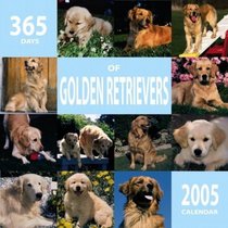 365 Days of Golden Retrievers 2005 Wall Calendar