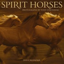 Spirit Horses 2010 Wall Calendar