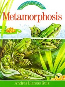 Metamorphosis (Cycles of Life Series)