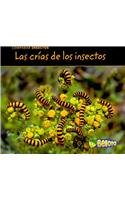 Comparar insectos / Comparing Bugs (Spanish Edition)