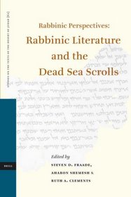 Rabbinic Perspectives: Rabbinic Literature and the Dead Sea Scrolls (Studies on the Texts of the Desert of Judah)
