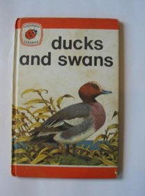 Ducks and Swans (Ladybird leaders)