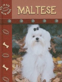 Maltese (Eye to Eye With Dogs)