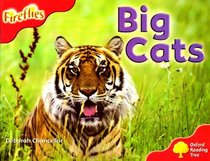 Oxford Reading Tree: Stage 4: More Fireflies A: Big Cats