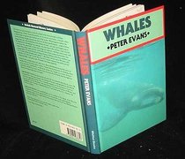 Whales (British Natural History Series)