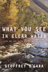 What You See in Clear Water : Life On the Wind River Reservation