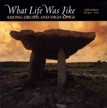 What Life Was Like Among Druids and High Kings : Celtic Ireland Ad 400-1200