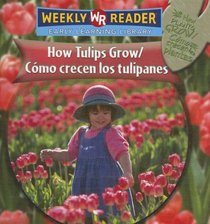 How Tulips Grow/como Crecen Los Tulipanes: Como Crecen Los Tulipanes (How Plants Grow/Como Crecen Las Plantas)