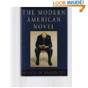 The Modern American Novel : New Edition