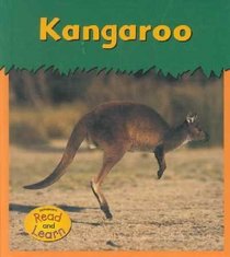 Kangaroo (Zoo Animals)