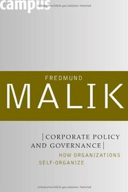 Corporate Policy and Governance: How Organizations Self-Organize (Management: Mastering Complexity)