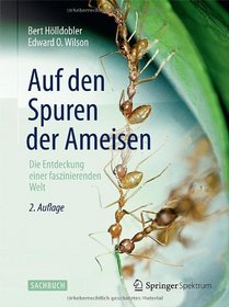 Auf den Spuren der Ameisen: Die Entdeckung einer faszinierenden Welt (German Edition)