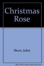 Christmas Rose