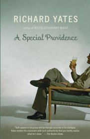 A Special Providence (Vintage Contemporaries)