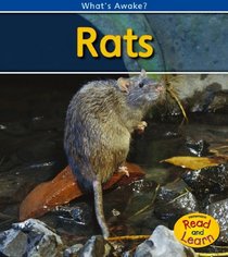 Rats (2nd Edition) (Heinemann Read and Learn)