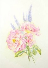Peace Roses (Art Cards)