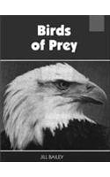 Birds of Prey (Nature Watch Series)
